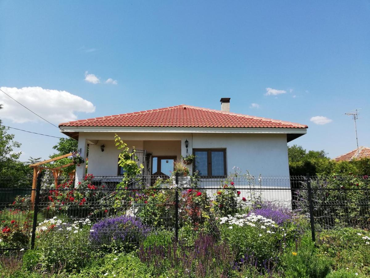 מלון דורנקולק House Albena מראה חיצוני תמונה
